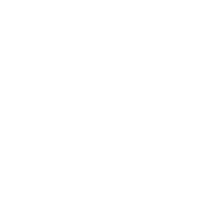White logo of Anisa Hoxha Realtor